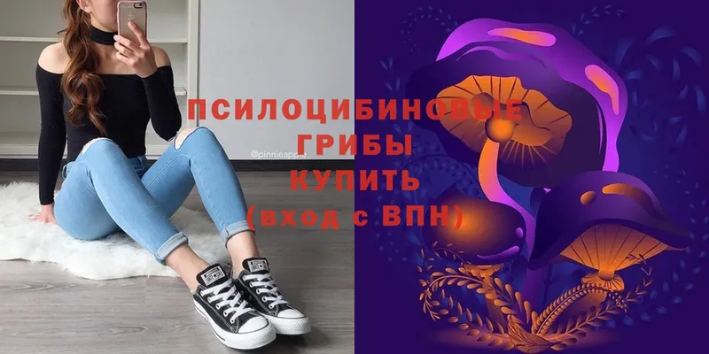 Галлюциногенные грибы Psilocybe  маркетплейс как зайти  Мантурово 